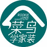 菜鸟学家装