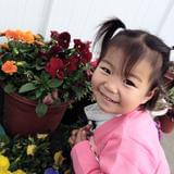 从此我爱上的人都像你