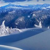 盲目狂恋的宽容