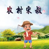 农村宋叔