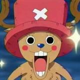 我和宠物的日常