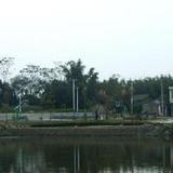 农村生活点滴搜索