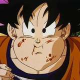 爱吃胡萝卜的卡卡罗特