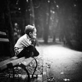 层林尽染霜华遍