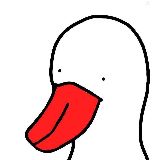 一只特立独行的鸭