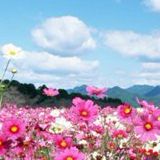 云君浩生活大咖