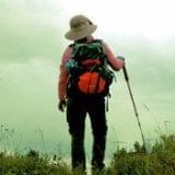 流浪者的流浪精神