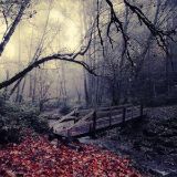 任萌萌快乐助手