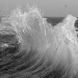 带你吃遍五湖四海