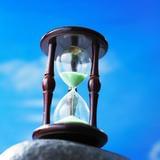 爱上会飞的小鱼