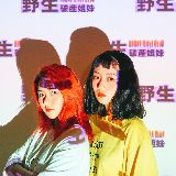 野生破产姐妹