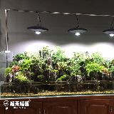 植来植趣园艺