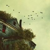 会飞的七秒记忆