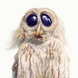 奔波灞与灞波奔