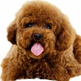 啰里啰嗦的人啊