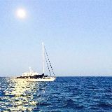 梦想背包旅行的憨豆老猫