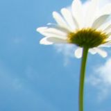 郑涵衍娱乐小分队