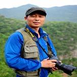 游在城市里的鱼