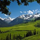 娱乐界的小诸葛