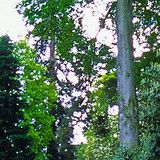 水文墨娱乐大咖