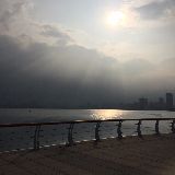 追随风前往心之所向