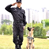 狗狗教官