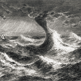 历史原来很好看