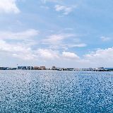 住进心里的音乐