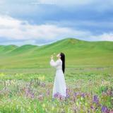 一世清狂终不休