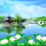花少独爱