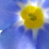 孙淑篮喜欢生活