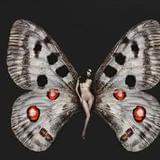 昙花一现，只为韦陀