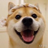 小欢谈百科