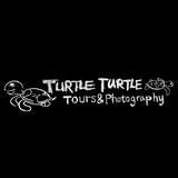 两只海龟的旅行