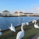 地方法治学术团队