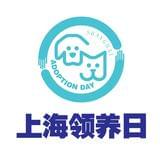 上海领养日shanghai