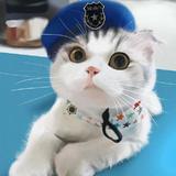 一点娱乐小八卦