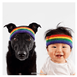 汪星人统治地世界