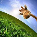 爱米的娱乐工坊