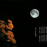 知识分子的健康