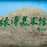 绿泽油画户外先行