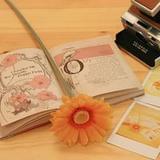 一直神趣的托尼