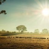 陈陈娱乐小分队