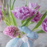 勇哥说娱乐的事