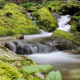 欧阳邵元娱乐团