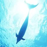 历史上的大事件