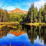 强人净化苏照龙