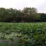 何国祥谈品牌运营