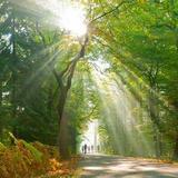 爱如潮水一样汹涌