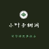 喜欢发呆的小叶子